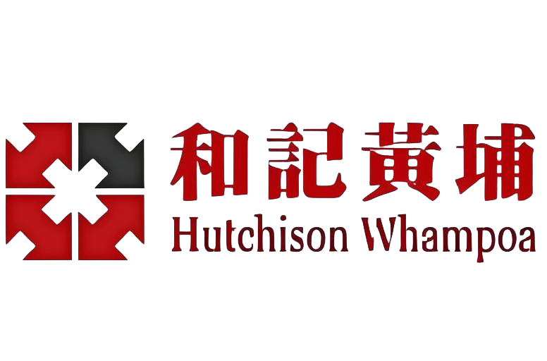 国内伙伴