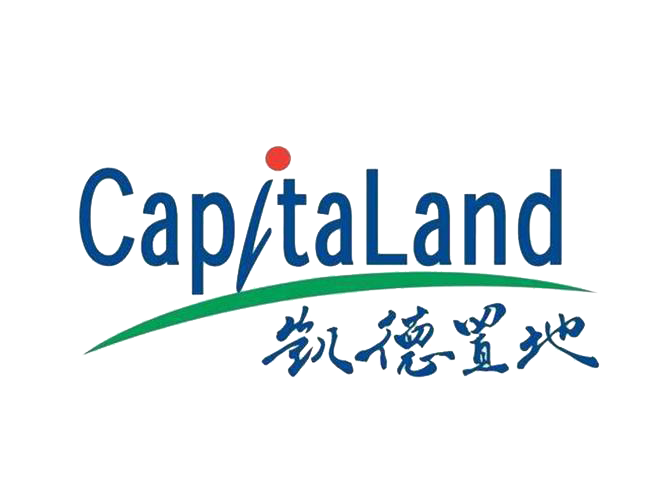 国内伙伴