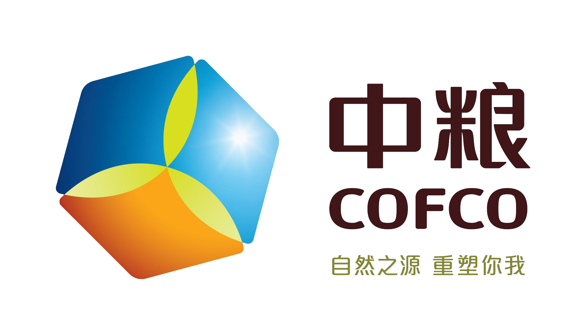 国内伙伴